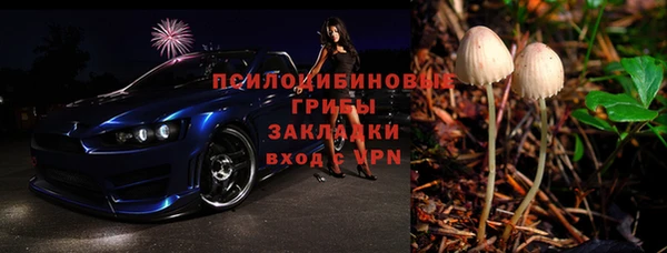 крисы Алексин