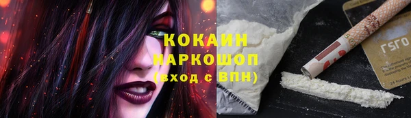 гашик Алексеевка