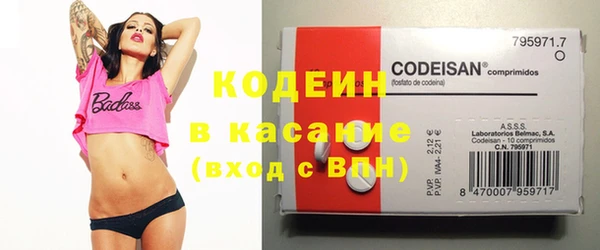 гашик Алексеевка