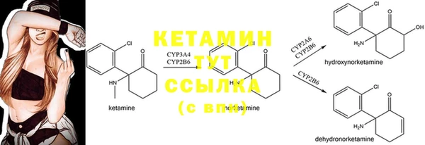 гашик Алексеевка