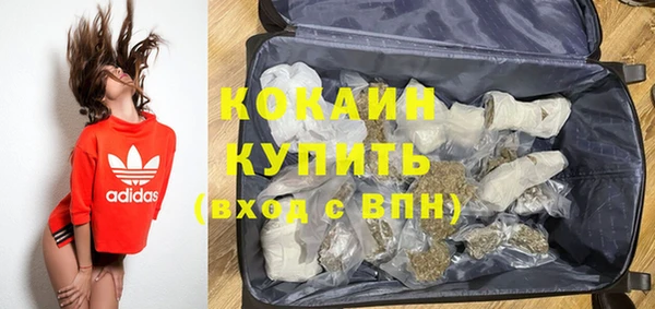 spice Алзамай